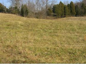 1326 Timber Ridge Road, Unit 8 Bluff City, TN 37618 - Photo 1 of 1 Photo 1