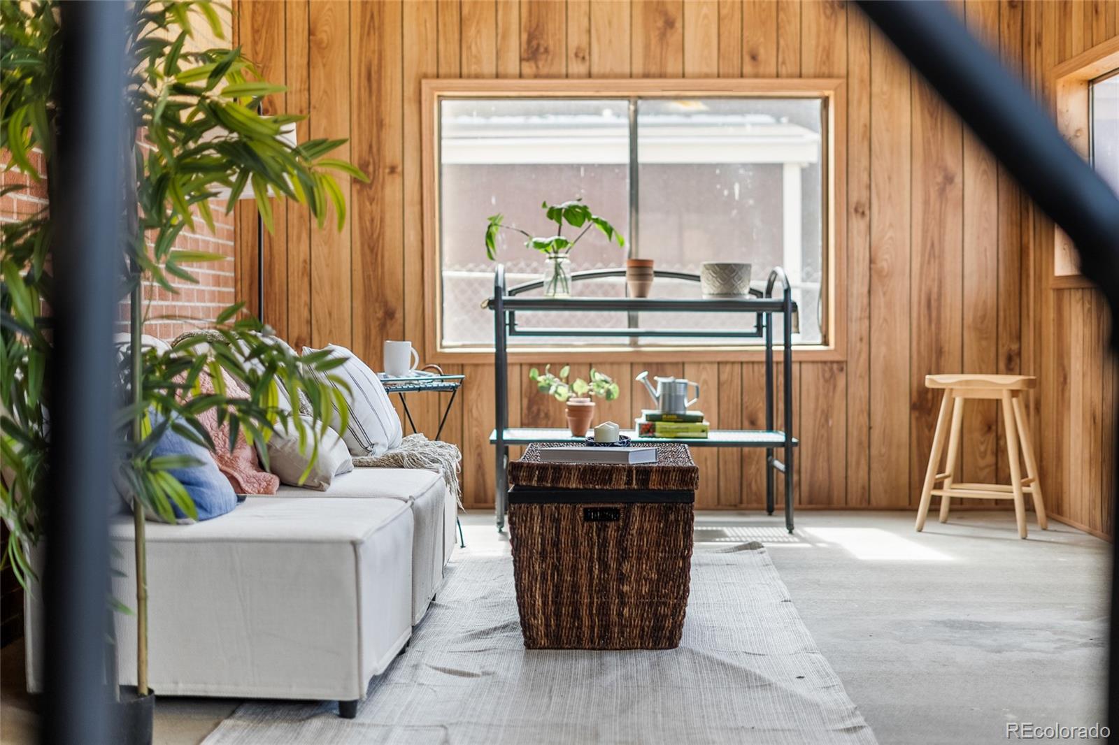 4585 Garland Street Wheat Ridge, CO 80033 - Photo 19 of 35 a living room with a couch and a potted plant