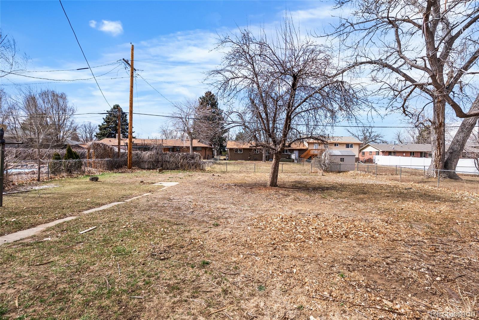 4585 Garland Street Wheat Ridge, CO 80033 - Photo 25 of 35 a park view with large trees