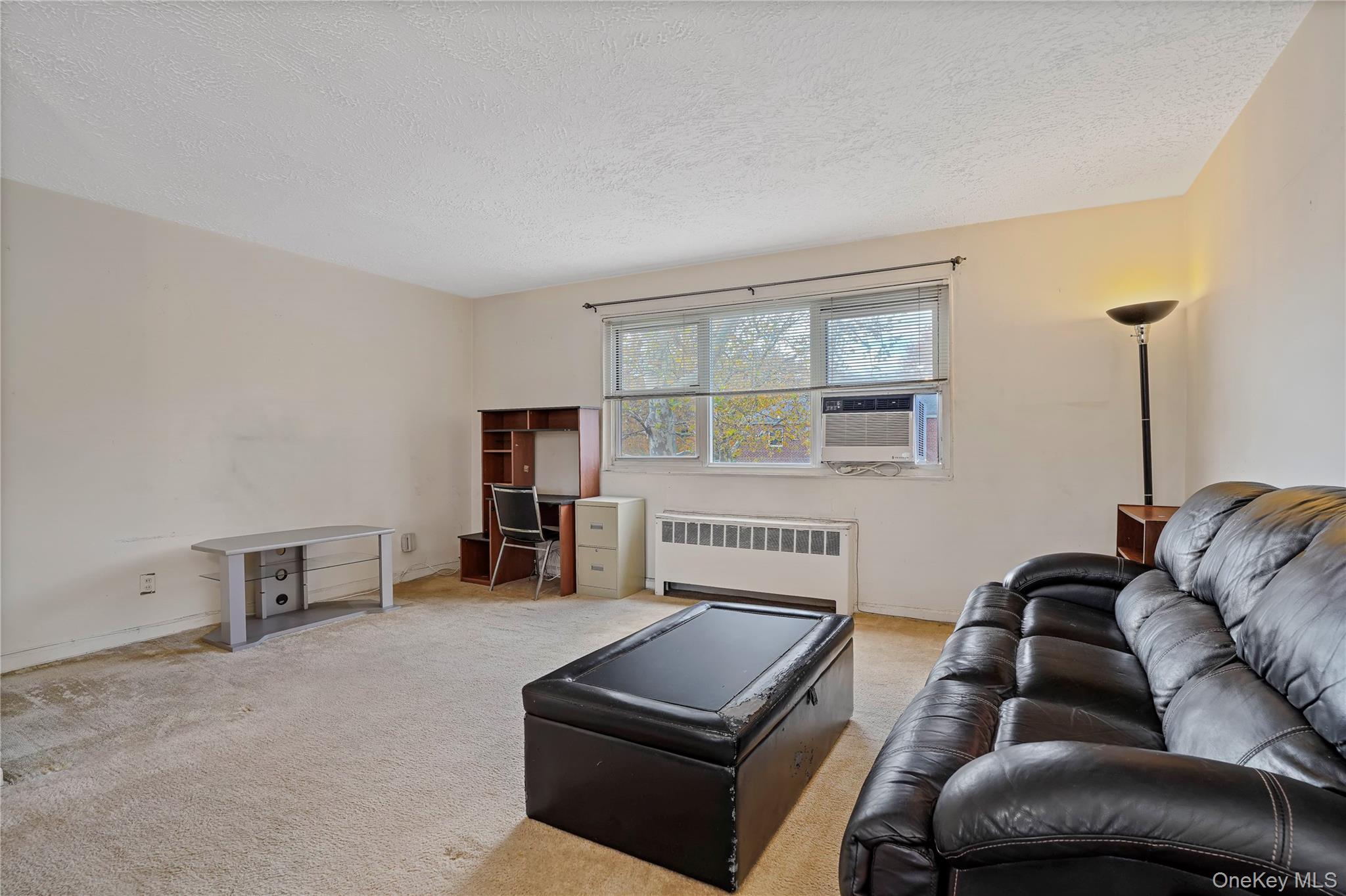 155-27 89th Street, Unit 27 Queens, NY 11414 - Photo 8 of 26 a living room with furniture and a couch