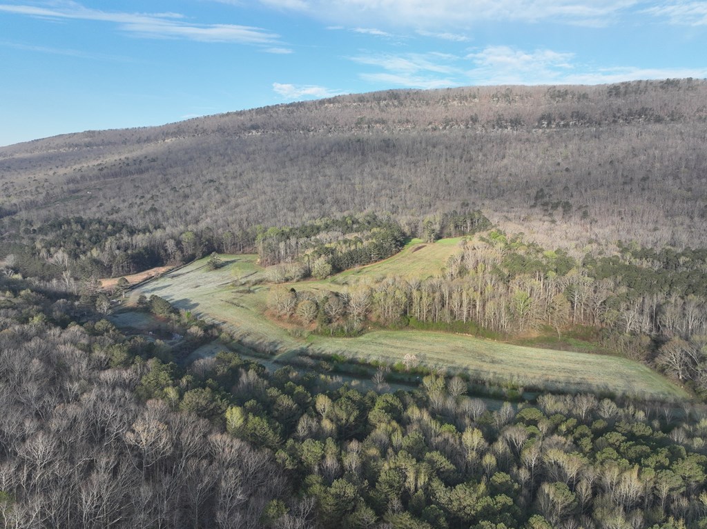 0 Shinbone Valley Road LaFayette, GA 30728 - Photo 2 of 15 Gallery Image 2