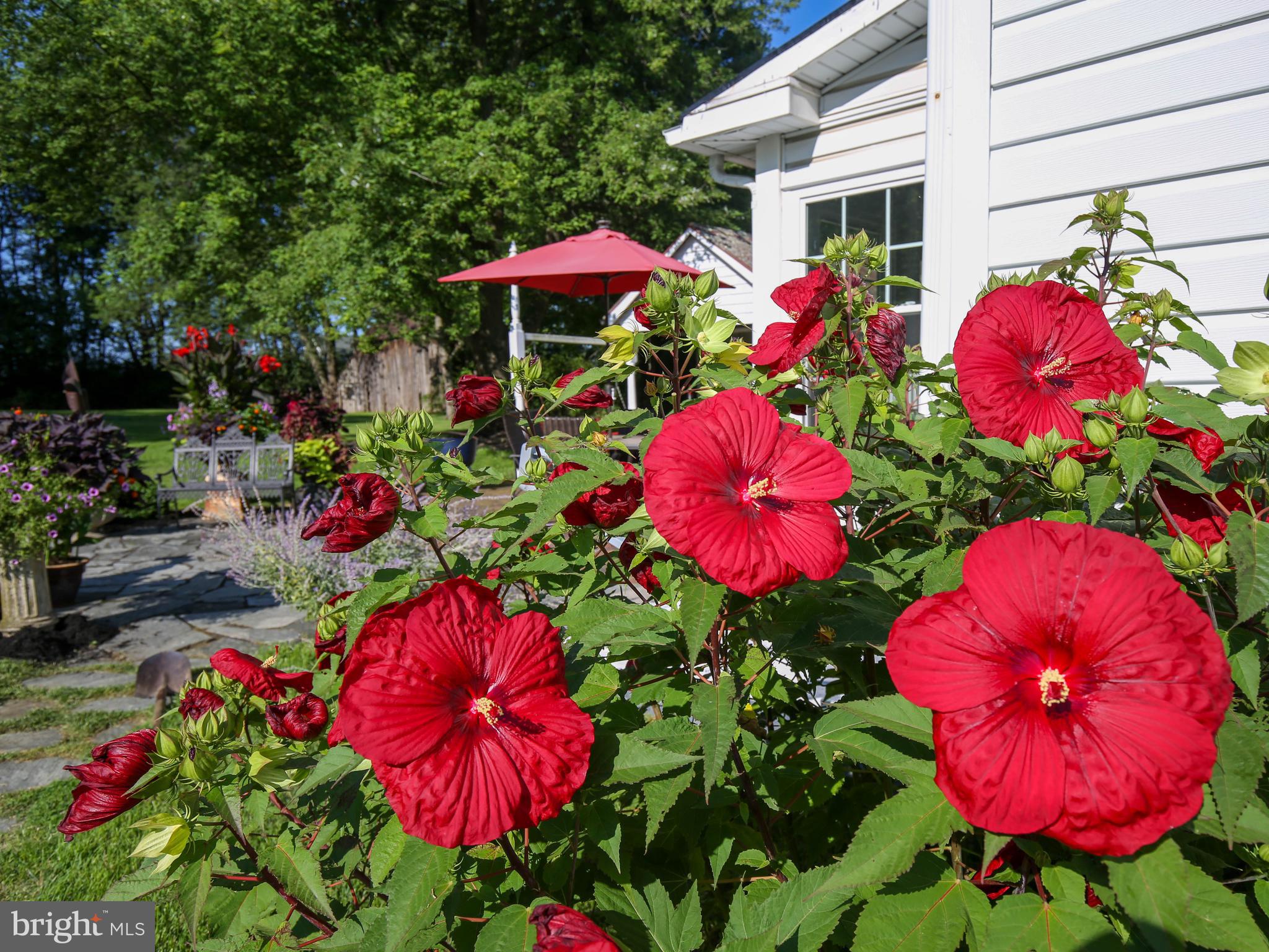 128 White Hall Road Winchester, VA 22603 - Photo 43 of 68