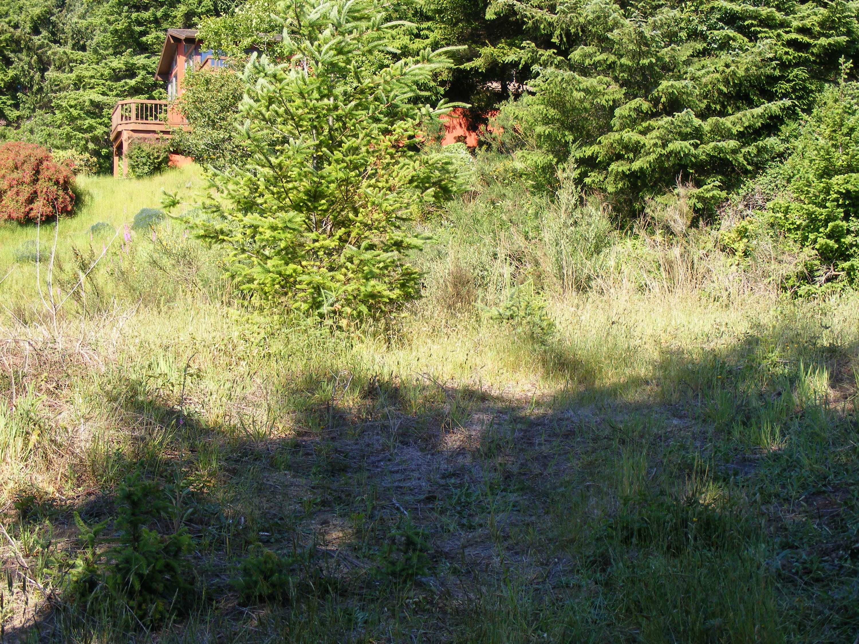 1500 Yaquina Bay Road Newport, OR 97365 - Photo 4 of 8 Property landscape