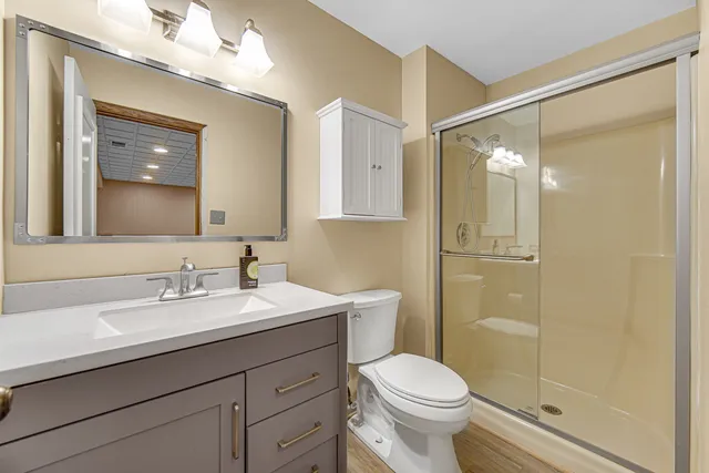 a bathroom with a sink a toilet a mirror and shower