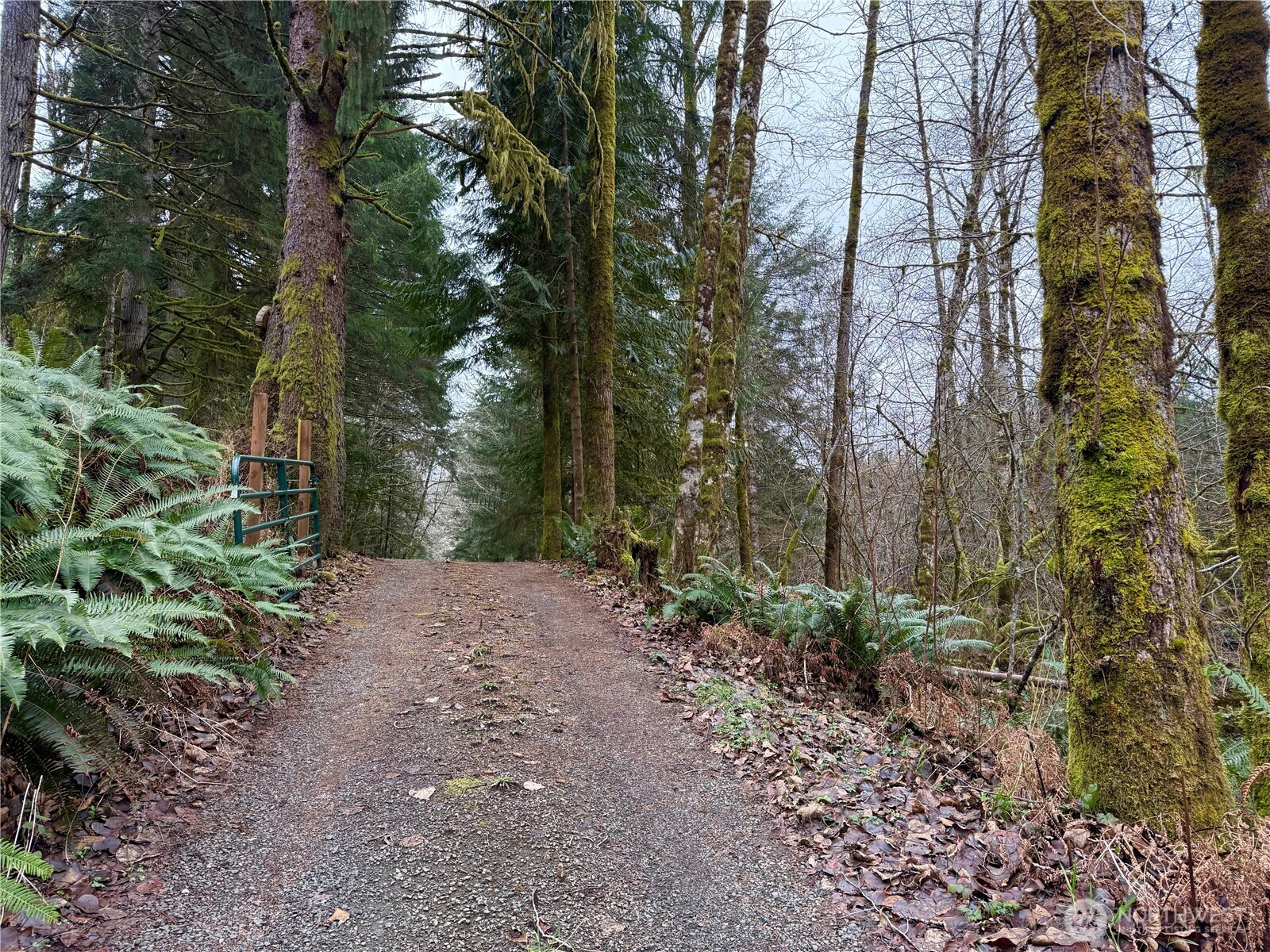 192 Arrowhead Drive Elma, WA 98541 - Photo 16 of 30