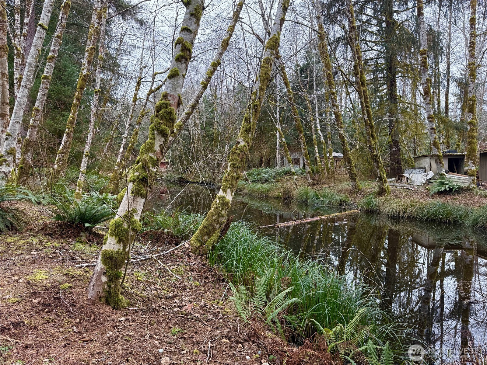 192 Arrowhead Drive Elma, WA 98541 - Photo 21 of 30