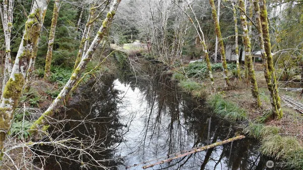 a view of a tree with a tree