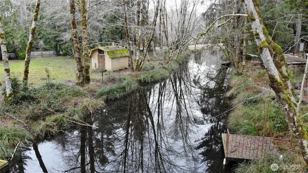 a view of a yard with plants and trees