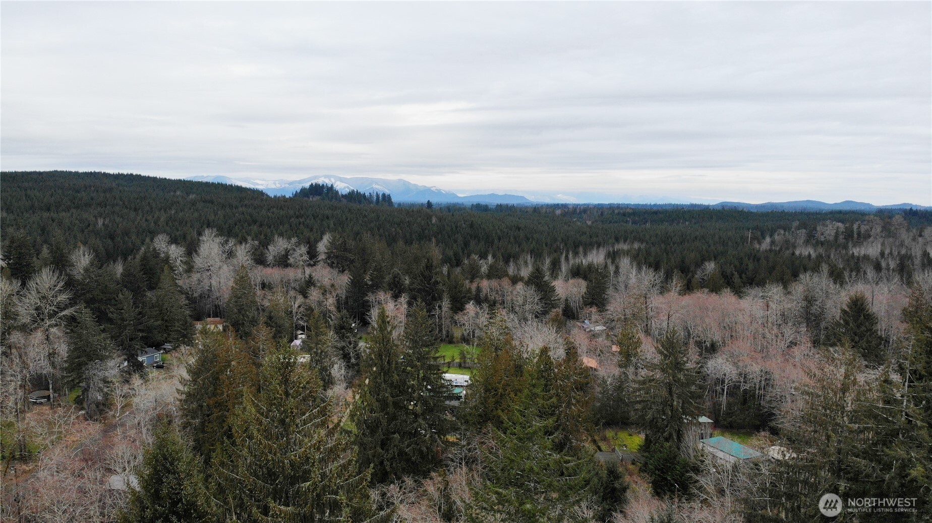192 Arrowhead Drive Elma, WA 98541 - Photo 29 of 30
