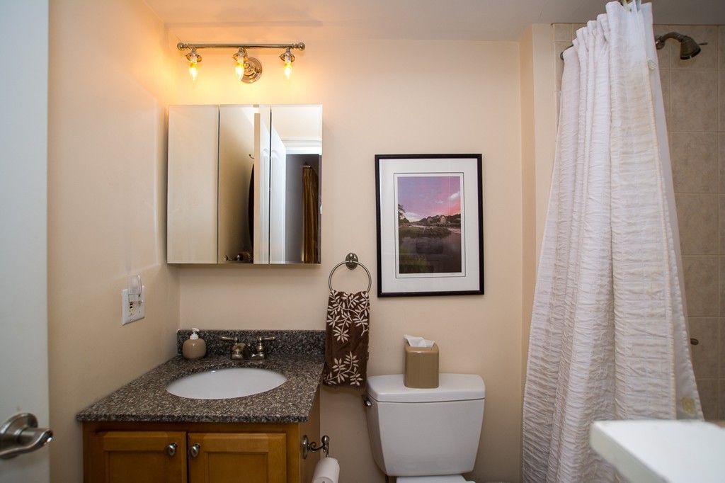 69 Parkton Road, Unit 1 Boston, MA 02130 - Photo 17 of 30 a bathroom with a sink and a mirror