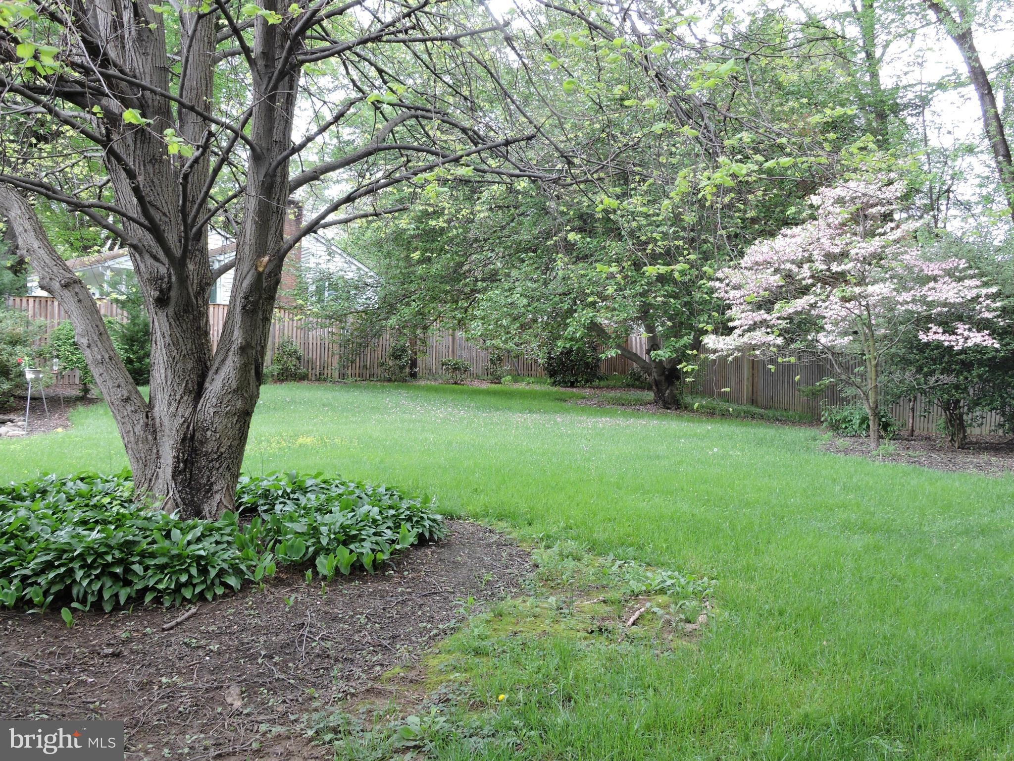 6202 Chesterbrook Road McLean, VA 22101 - Photo 17 of 20 Back Yard