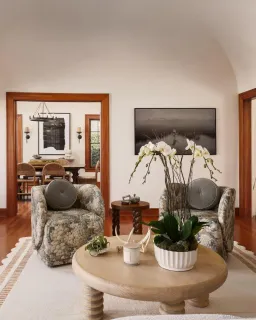 a living room with furniture and a potted plant