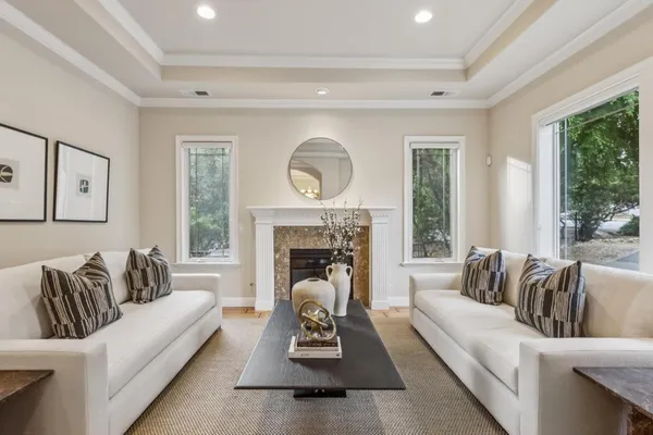 a living room with furniture a fireplace and a potted plant