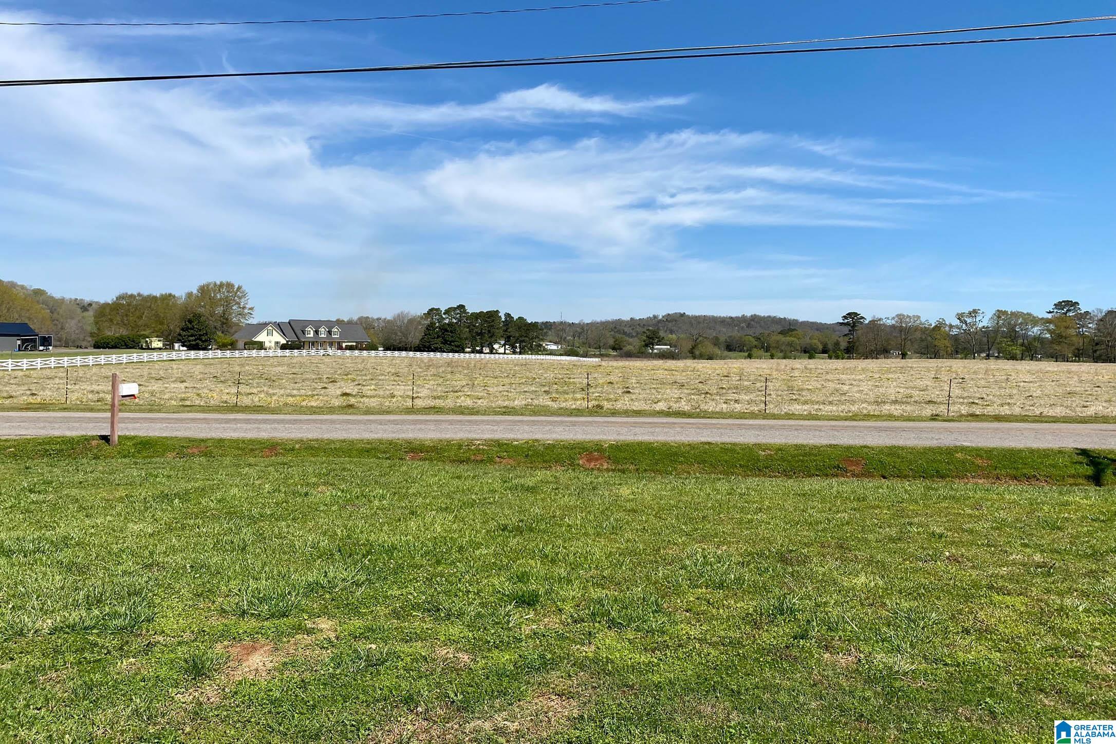 597 Springhill Road Talladega, AL 35160 - Photo 49 of 50