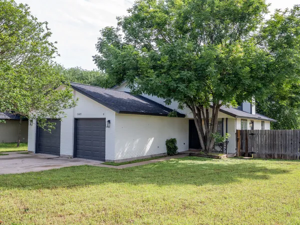 a view of a backyard with a plants and large tree
