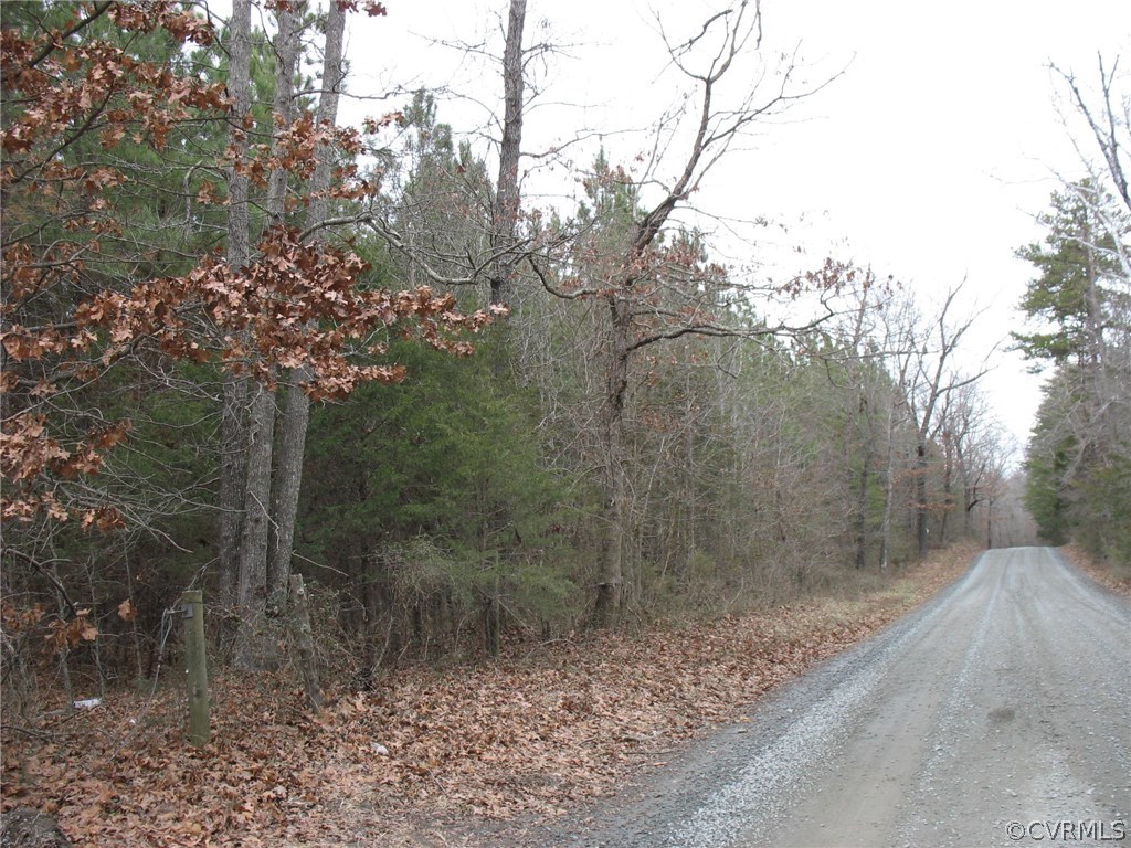 Gallery Image 7