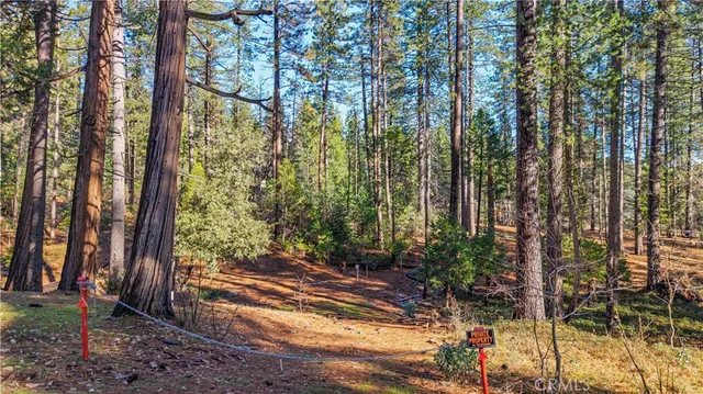 a backyard of a house with lots of trees