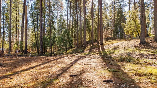 a view of a yard with large trees