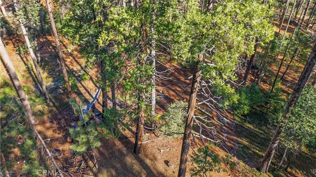 a view of an outdoor space with a tree