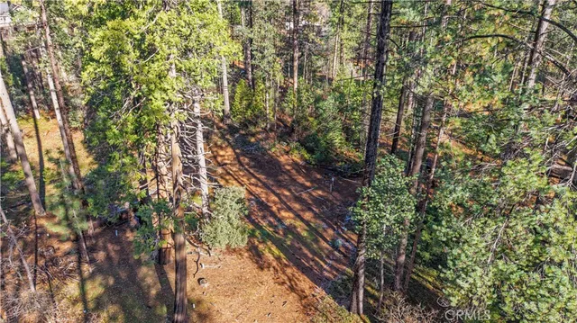 a view of outdoor space and garden