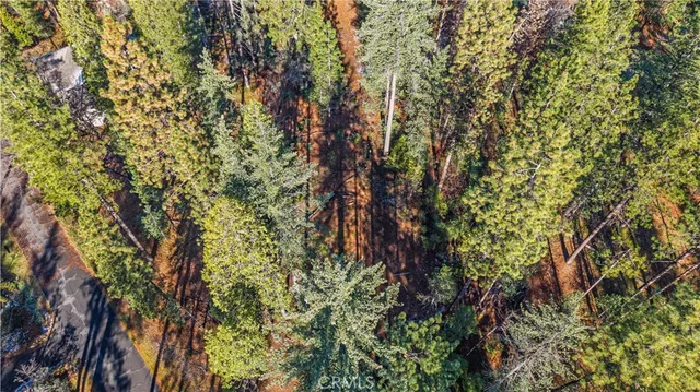 a backyard of a house with lots of trees