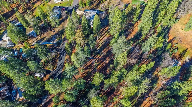 a backyard of a house with lots of plants and trees