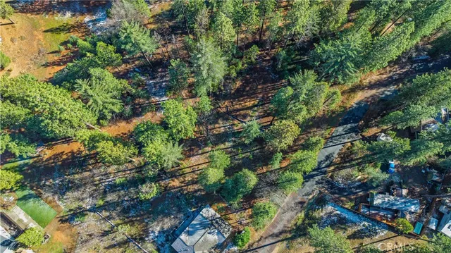 a plant that is in a garden