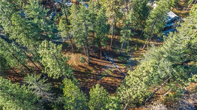 a view of a house with a tree