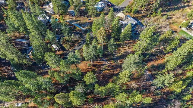 a view of a tree in a yard