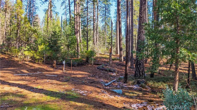 a view of a backyard