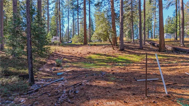 a view of outdoor space with trees