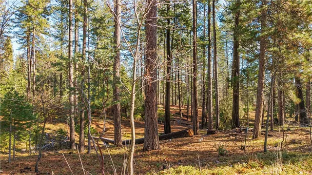 $30,000 | 434 Bird Dog Circle, Avery, CA 95224