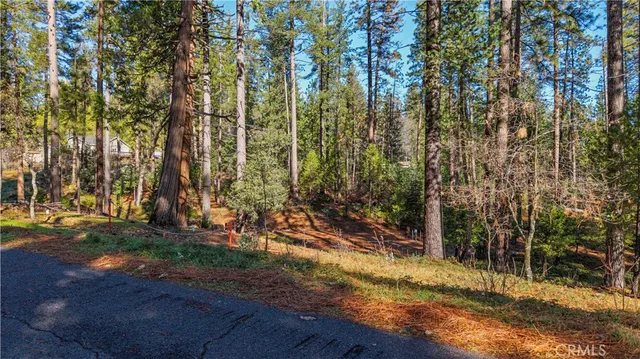 $30,000 | 434 Bird Dog Circle, Avery, CA 95224