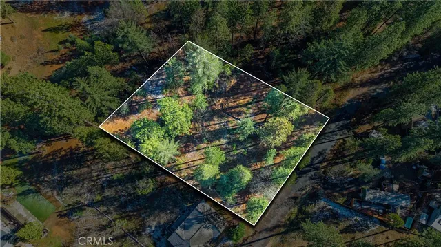 a view of a yard with an trees
