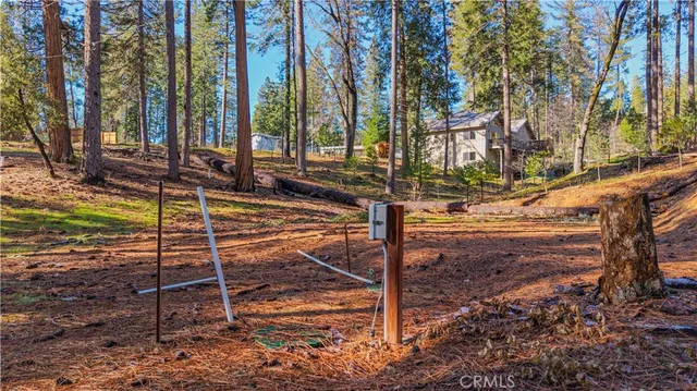 a view of a yard with plants