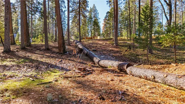 a view of outdoor space and yard