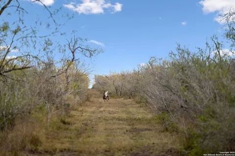 an view of city and green space