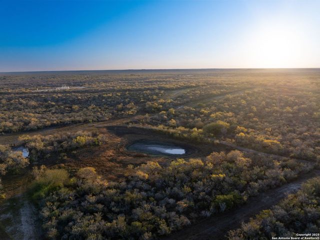 a view of a yard with large trees