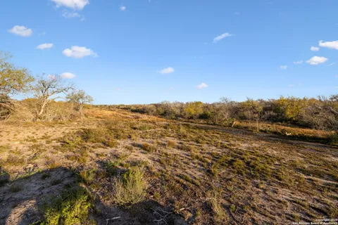 a view of a yard with a large tree