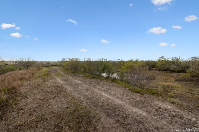 a view of a sky from a yard