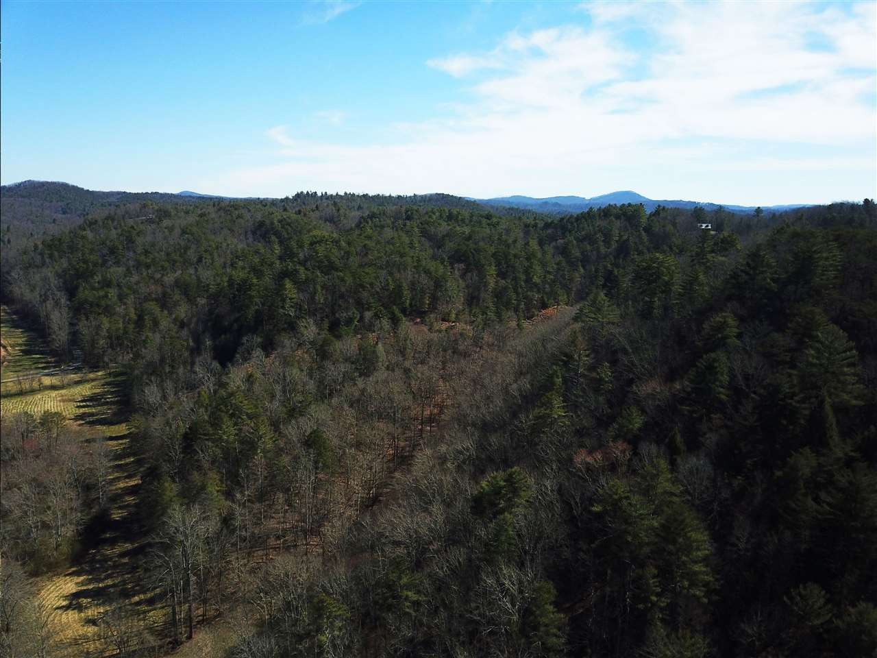 0 Towee Pike Reliance, TN 37369 - Photo 34 of 41