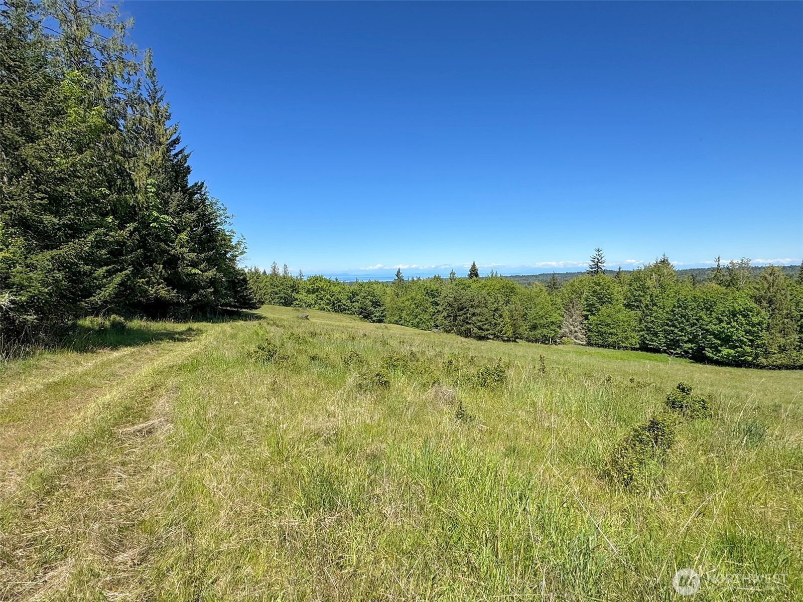 9999 Kruse Road Port Angeles, WA 98362 - Photo 30 of 39