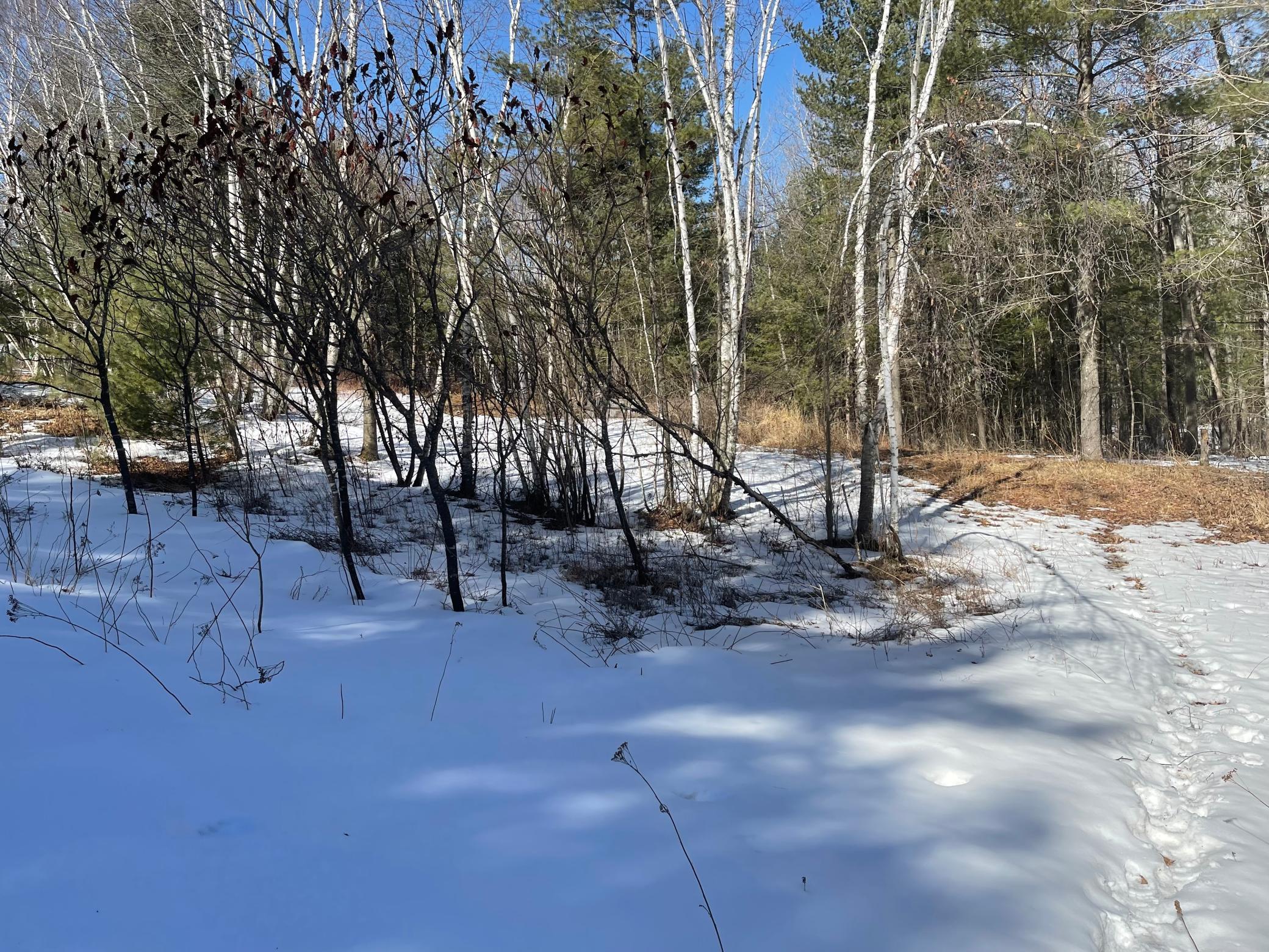 Tbd 305th Street Aitkin, MN 56431 - Photo 7 of 17