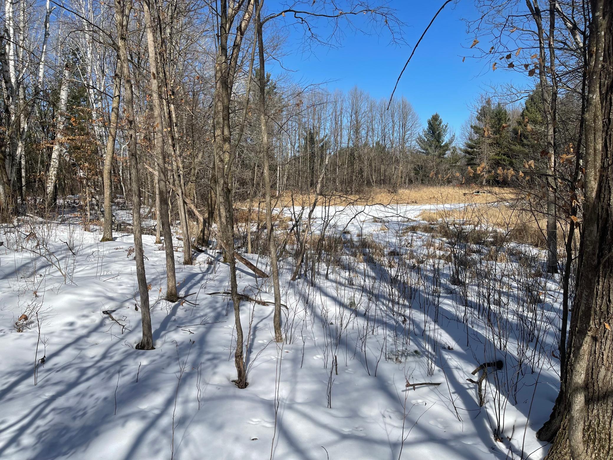Tbd 305th Street Aitkin, MN 56431 - Photo 8 of 17