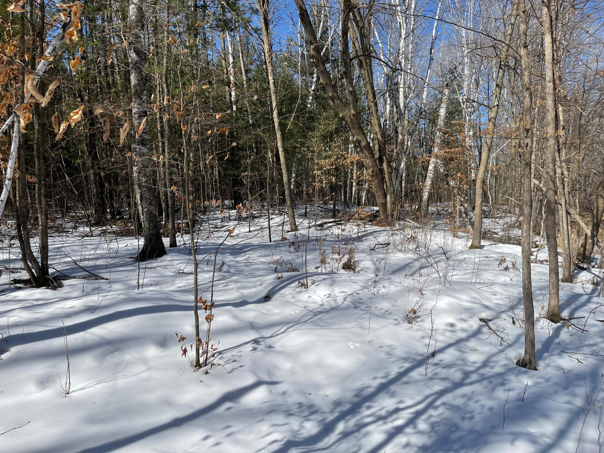 Tbd 305th Street Aitkin, MN 56431 - Photo 9 of 17