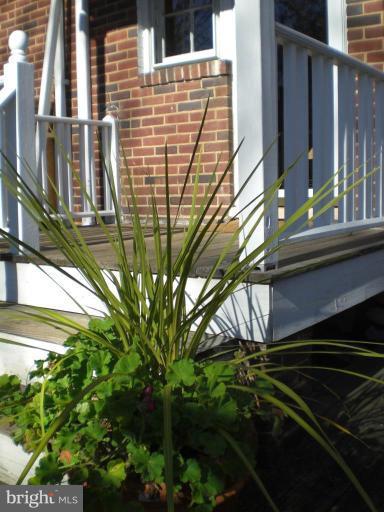 307 Dunkirk Road Baltimore, MD 21212 - Photo 26 of 30 Exterior #5