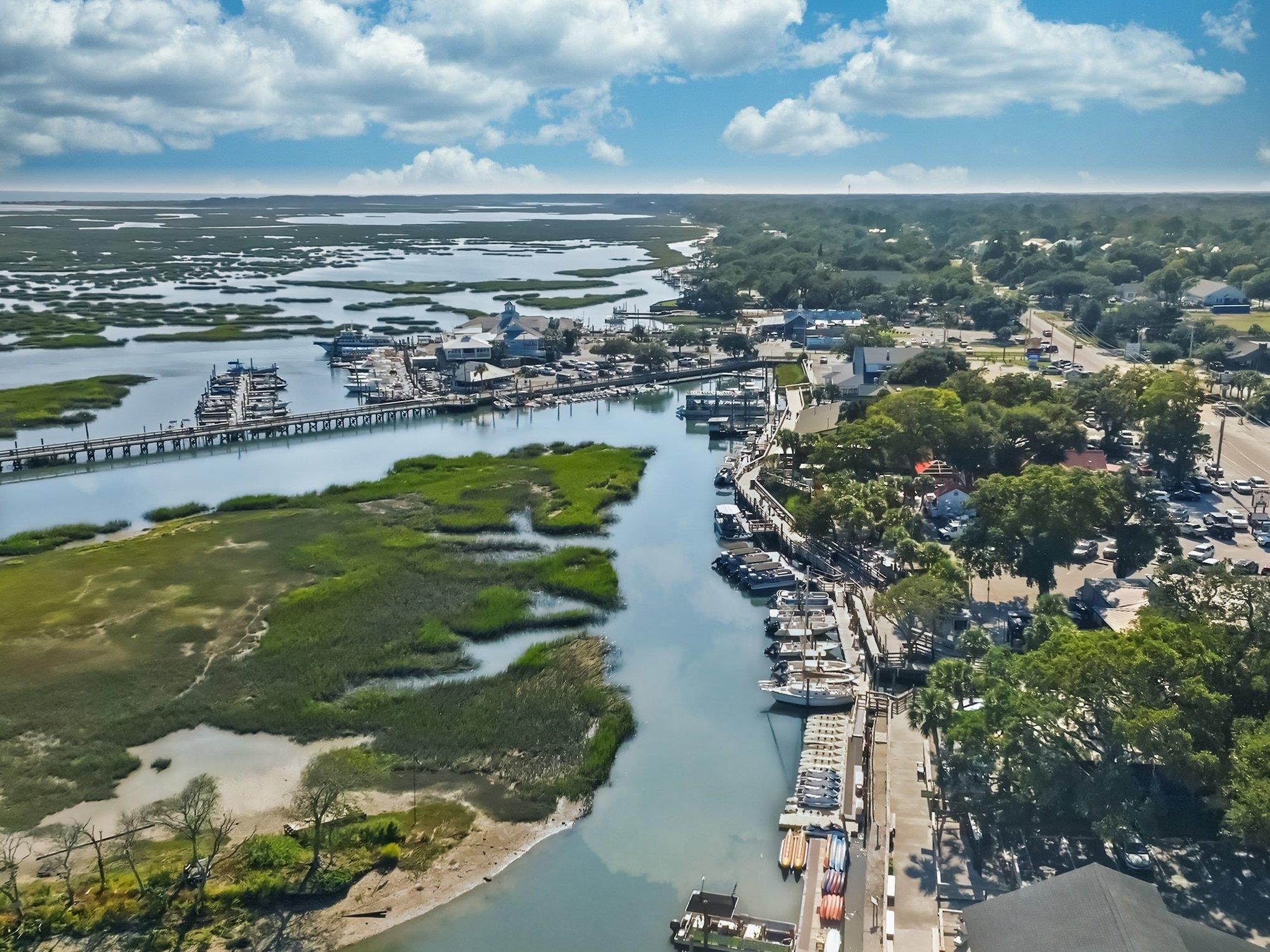 9374 Pinckney Lane Murrells Inlet, SC 29576 - Photo 24 of 62