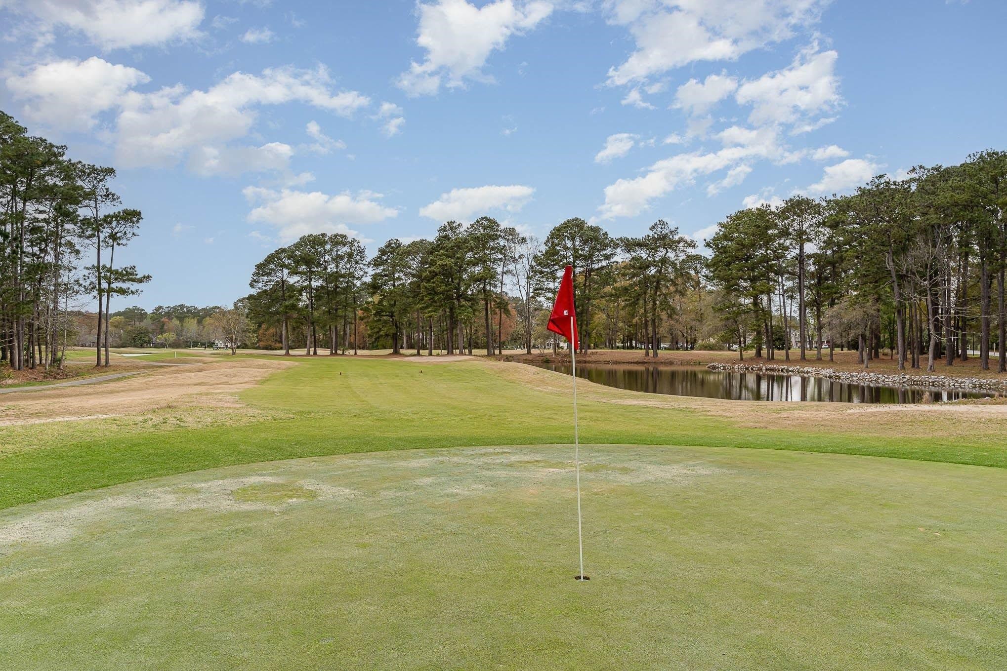9374 Pinckney Lane Murrells Inlet, SC 29576 - Photo 25 of 62