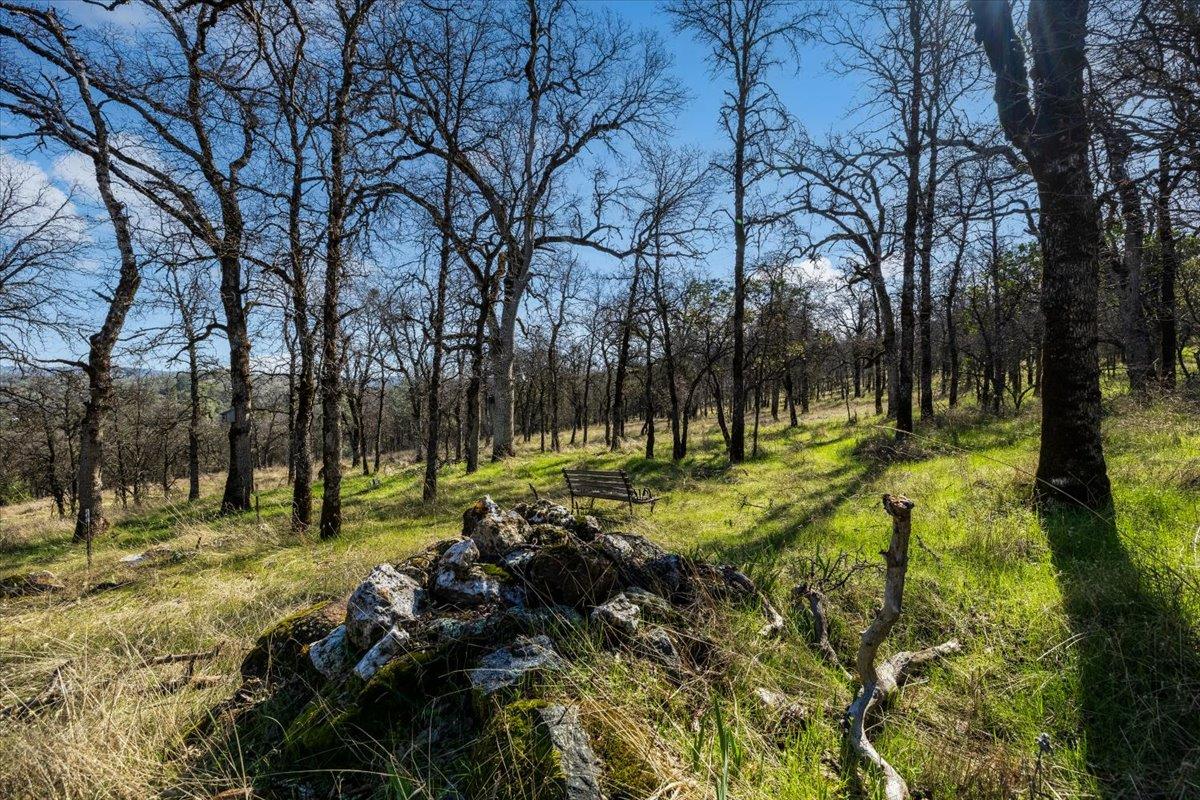 12463 Wolf Road Grass Valley, CA 95949 - Photo 11 of 23