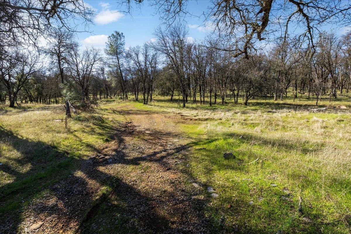 12463 Wolf Road Grass Valley, CA 95949 - Photo 14 of 23
